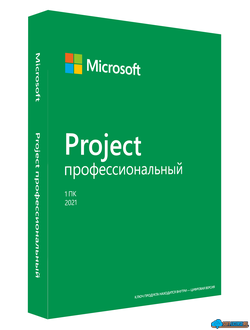 Project профессиональный 2021 ( H30-05939, бессрочная электронная лицензия )