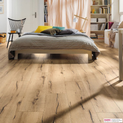 Декор ламината Haro Tritty 100 Campus Дуб Италика кремовый 532060 в интерьере комнаты