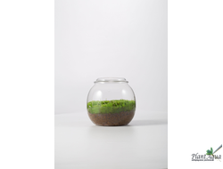 Чаша Пузырь Biolark  THREE (120мм х 105мм)