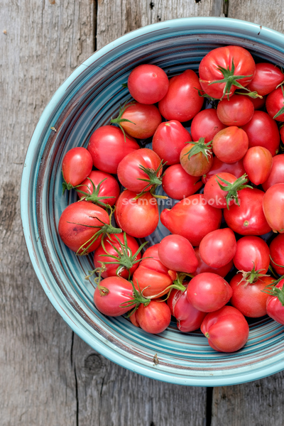 Томат Козула 14 Мегагрон, 10 шт