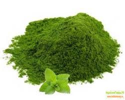 Порошок мяты, 50 г, производство Индии; Pudina Powder, 50 g, India