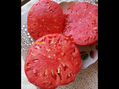 Томат Казан