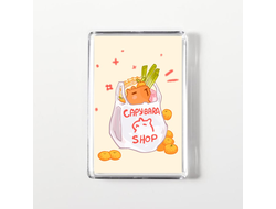 Магниты акриловые Капибара, Kapibara-san