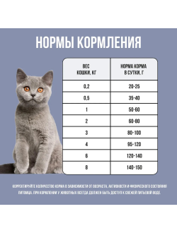 BOWL WOW (Боул Вау) корм сухой для котят Индейка, Курица, Черника 400 г