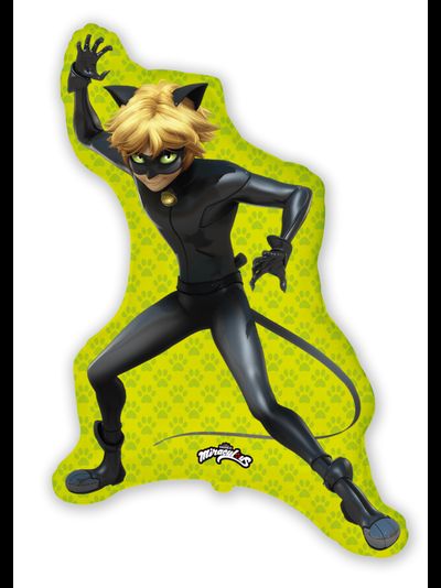 Супер кот, Леди Баг