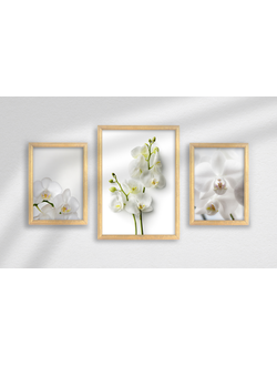 Набор постеров в раме из 3 шт.,  дерево, ПРН-159