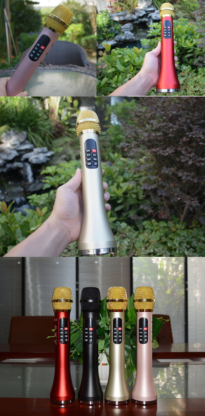 Профессиональный   караоке-микрофон      L-1038DSP  25w