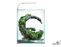 Аквариумы SHRIMP SET SMART LED DAY&NIGHT 30л, 29х29х35 см белый