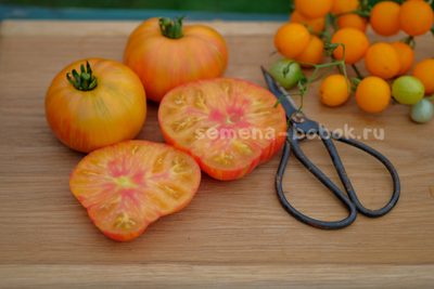 Томат Dwarf Confetti (Гном Конфетти), 10 шт