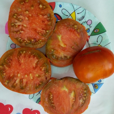 Томат Терракотовый Торбена (Thorburn's Terra Cotta Tomato)