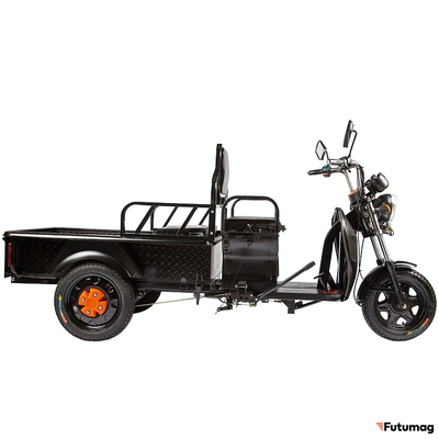 Грузовой электротрицикл Rutrike D1 1200 60V900W черный