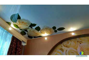 Натяжной потолок с арт-печатью
Отрадное