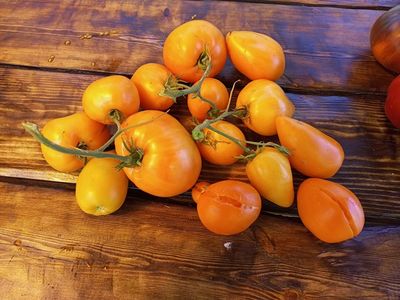 Томат Сердце Любы (Lyuba's Heart)