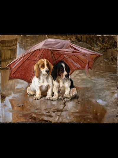 Купить греющую картину с фото две собаки под зонтом