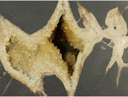 Септария с жеодой кальцита, срез полированный, Россия, Кавказ (257*184*85 мм, 4260 г) №28035