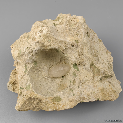 Зуб костной рыбы Pycnodus sp., на породе и кальцит. Россия. 87*78*50мм