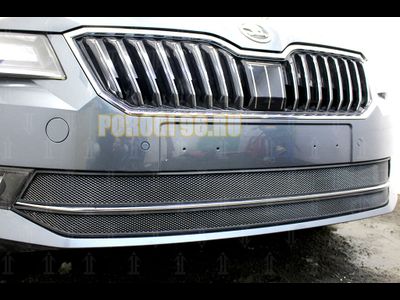 Защита радиатора Skoda Superb 2015- (2 части) black