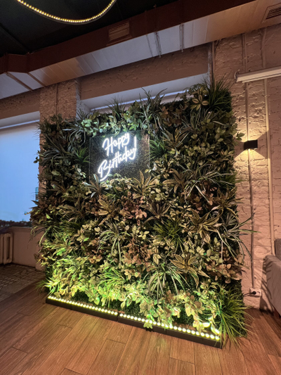 ФитоСтена на день рождения № 1488