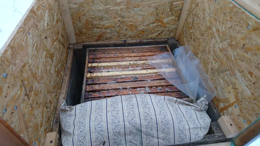 Ждем морозов