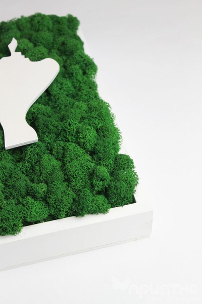 ЖИВАЯ ЭКО-КАРТИНА 1030