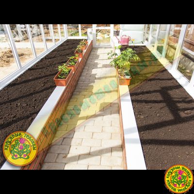 Базовая комплектация теплицы из стекла и алюминия ЧЕСТЕРФИЛД размером 8000 х 3000 мм