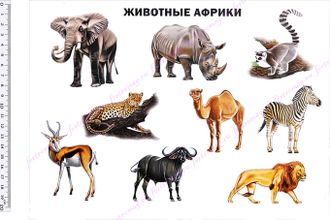 Фетр с рисунком "Животные Африки"