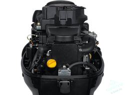 Лодочный мотор Marlin MF9.9AMHS (15)