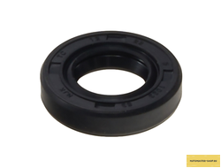 Сальник 12 x 22 x 5 (Сальник выжимного вала сцепления  ZS172, PR250, ZS169FMM, CB250D-G)