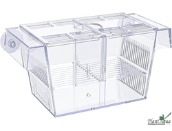 Отсадник Naribo FH-M для аквариумных рыб, с перегородкой, 230x100x100 мм