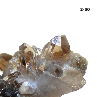 Раухтопаз натуральный (микро-друза) Казахстан №2-60: 23,5г - 39*24*29мм
