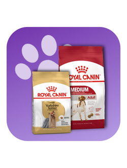 Royal Canin