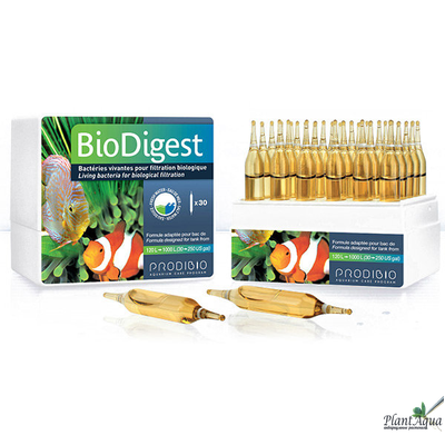 Prodibio BIO DIGEST гипер-концентрированный бактериальный препарат (1 ампула)