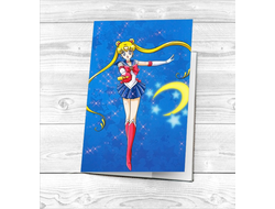 Обложка на паспорт Сейлор Мун №9