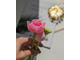 Комплект экзотика Лотосы 8 форм