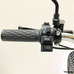 Электровелосипед GreenCamel Транк Монстр (R16FAT 800W 60V20Ah) гидравл. тормоз