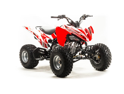 Купить Квадроцикл ATV 125S