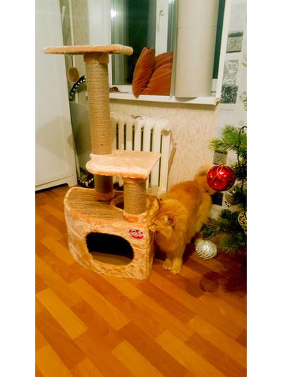 Домик для кошки Любимый №041