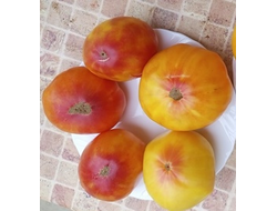 Томат Мэри Робинсон немецкий (Mary Pobinson's German)