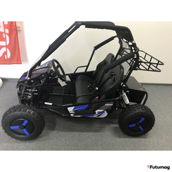 Багги SCANMOTO RAPID II