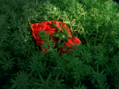 Тропическая лягушка. Необычная брошь с лягушкой - яркое летнее украшение