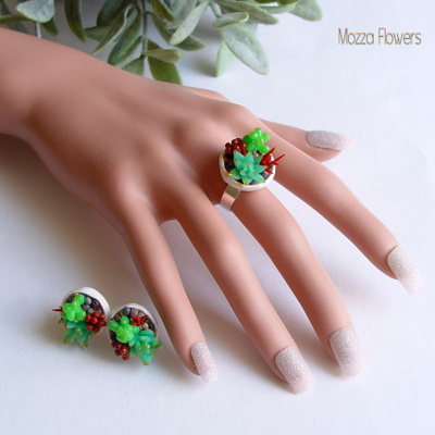 Комплект "Загадочные суккуленты". ЕСТЬ В НАЛИЧИИ.