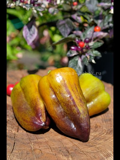 Перец сладкий Синильга, 10 шт