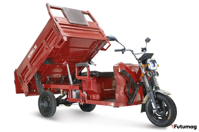 Грузовой электротрицикл Rutrike D5 1700 красный