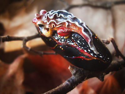 "Саламандра, дитя пламени", миниатюрная фэнтези-брошь (4,5 см)