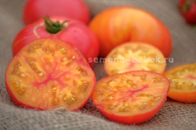 Томат Dwarf Awesome (Гном Замечательный), 10 шт