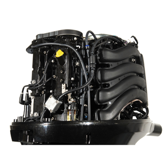 Мотор лодочный GOLFSTREAM F115FEX-T EFI L