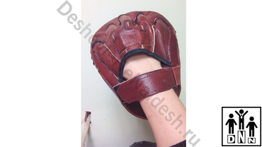 Боксёрские лапы / тайские пэды