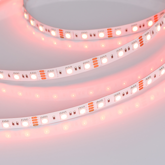 Лента Arlight RT-B72-10mm 12V RGB (15 W/m, IP20, 5060, 5m)