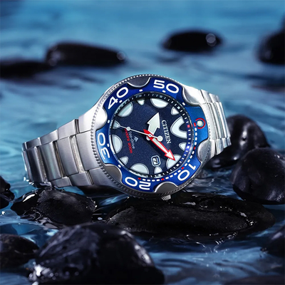 Наручные часы Citizen BN0231-52L