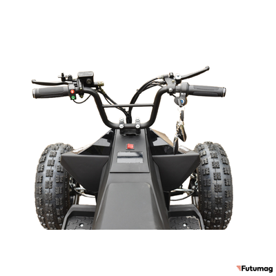 Электроквадроцикл Skyboard CyberTruck Karelia 1800W